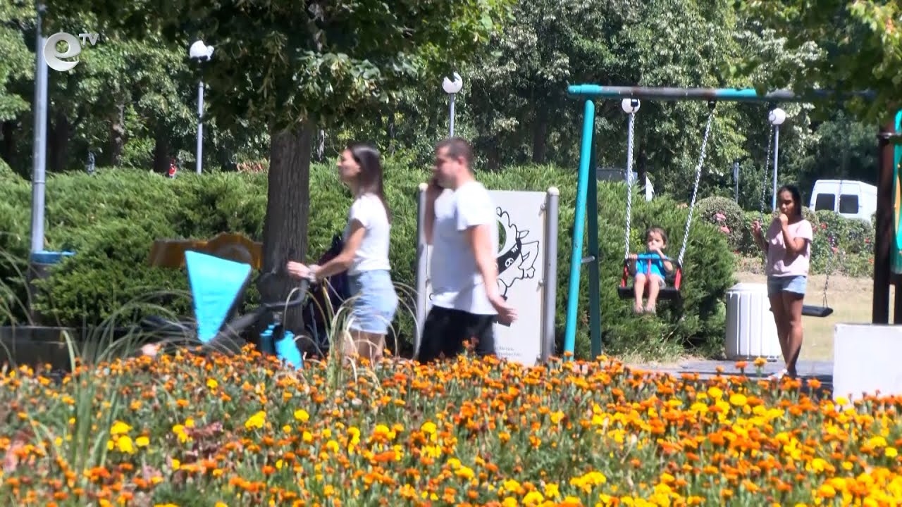 Пръскат срещу кърлежи и комари в Димитровград