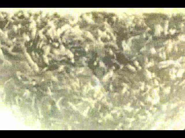 Vídeo relacionado con Álvarez y Díez Mantel Blanco Verdejo Rueda 75 cl Vino blanco (Caja de 6 Botellas de 75 cl)