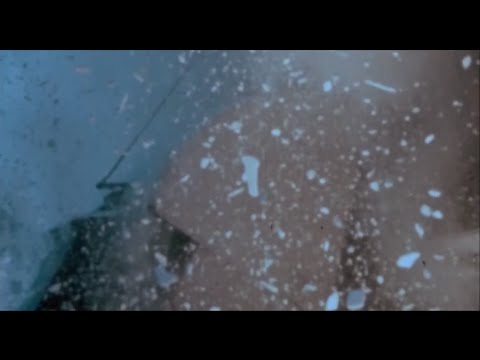 download lagu mp3 mp4 Able BirdCage, download mp3 Able BirdCage free download mp3, download mp3 Able BirdCage