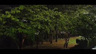 비오는밤 빗소리 들으며 ASMR