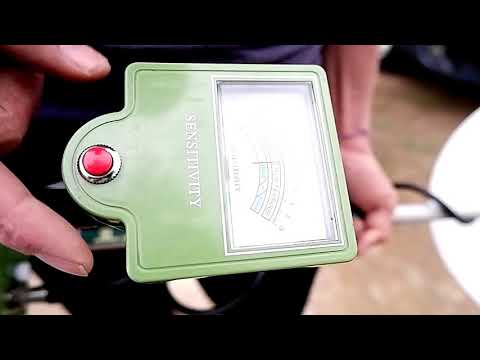 Yamashita Golds mostly are in the Pacific islands