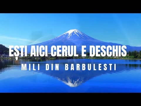 @MILIDINBARBULESTI -EȘTI AICI CERUL E DESCHIS( Video Official )