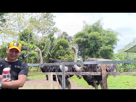 Visitando el Acuario Real, Lago agrio, Sucumbios 🤗