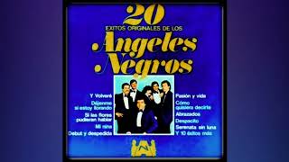 11. 𝐃𝐞𝐬𝐩𝐚𝐜𝐢𝐭𝐨-𝐋𝐨𝐬 𝐀𝐧𝐠𝐞𝐥𝐞𝐬 𝐍𝐞𝐠𝐫𝐨𝐬