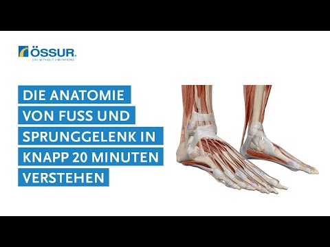 Für OrthopädietechnikerInnen: in knapp 20 Minuten die Anatomie von Fuß und Sprunggelenk verstehen.