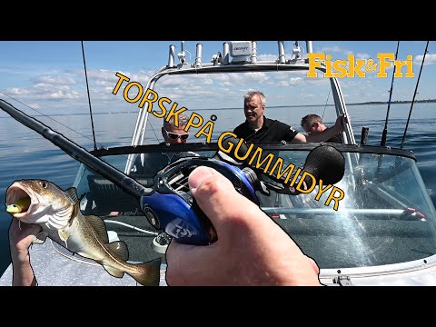 NY VIDEO: Sådan fanger du torsk på jigs og softbaits