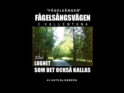 Ante minns Fågelsångsvägen i Vallentuna
