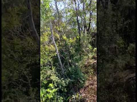 O Estreito em Ocauçu, Mata Atlântica!#bike #piramba #mtb #trilha #natureza #ocauçu #marilia #mtblife