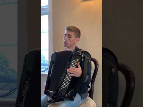 Florin Stefan - La fantana celui viu