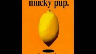 Mucky Pup - The T.V's on fire