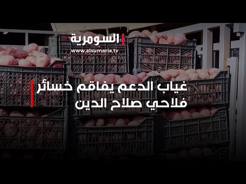 فيديو | غياب الدعم يفاقم خسائر فلاحي صلاح الدين