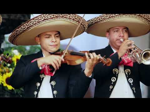 Thumbnail of the video: Así celebramos el estreno en México