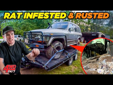4WD Project so DISGUSTING we found Snakes & Rats - Our Latest Builds vs. Tough QLD Tracks