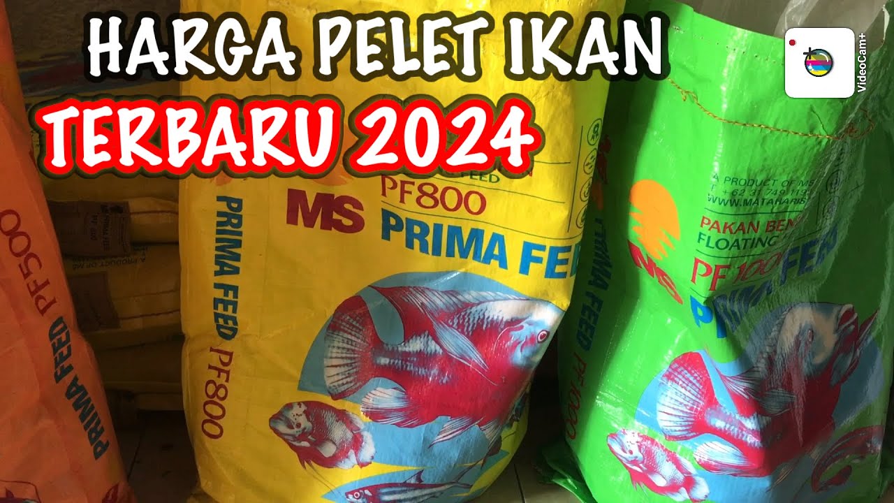 HARGA PELET ATAU PAKAN IKAN NILA, LELE, GURAME, TOMBRO, PATIN DLL