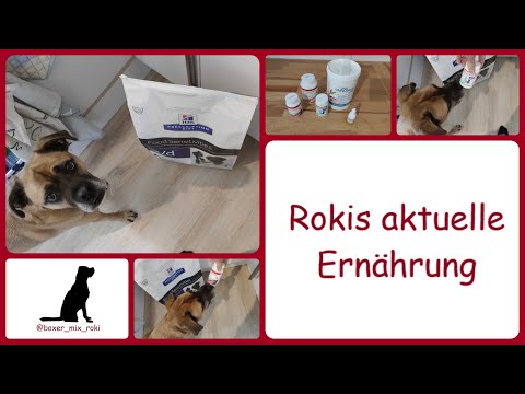 Rokis aktuelle Ernährung