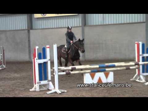 Cordoba DH, Cormint & Calvados