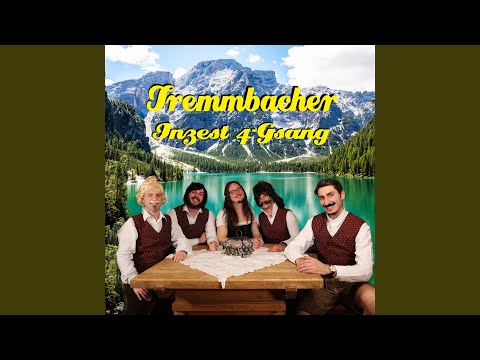 In Der Volksmusik (Darfst Net Ficken Sagn')