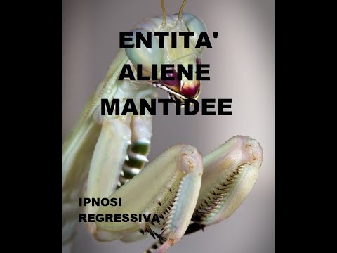 Come le ENTITÀ influenzano nelle RELAZIONI. 906 IT Francesca, Ipnosi Esoterica Aldo Bergamaschi.￼