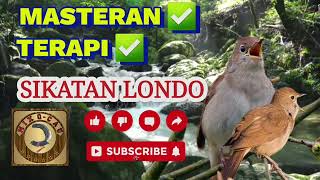 Download lagu SIKATAN LONDO SUARA AIR MENGALIR || MASTERAN HANDAL || TERAPI BURUNG mp3 Download lagu SIKATAN LONDO SUARA AIR MENGALIR || MASTERAN HANDAL || TERAPI BURUNG mp3