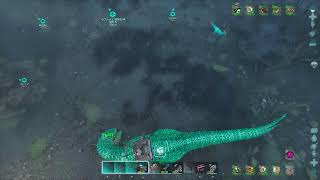 [ARK:asa]ハチ🐝テイムして採取しながら[Live]#ARK#サバイバルゲーム