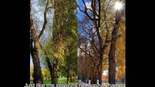 Black Stone Cherry -  Rollin On subtitulado