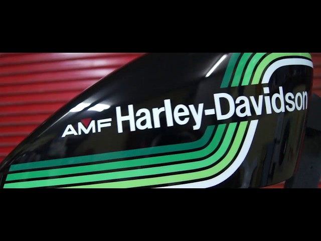 CUSTOMPAINT HARLEY-DAVIDSON SPORTSTER "Rainbow"