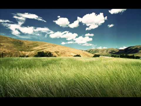 UDM feat Ange - Out Of Sight (Original Mix)