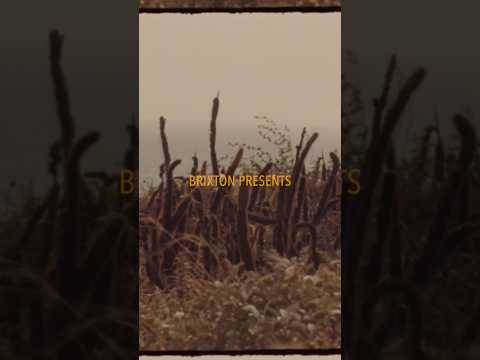 50w Baja, a film by Mark Kirkland U.S. Premiere, June 21 - Costa Mesa, CA