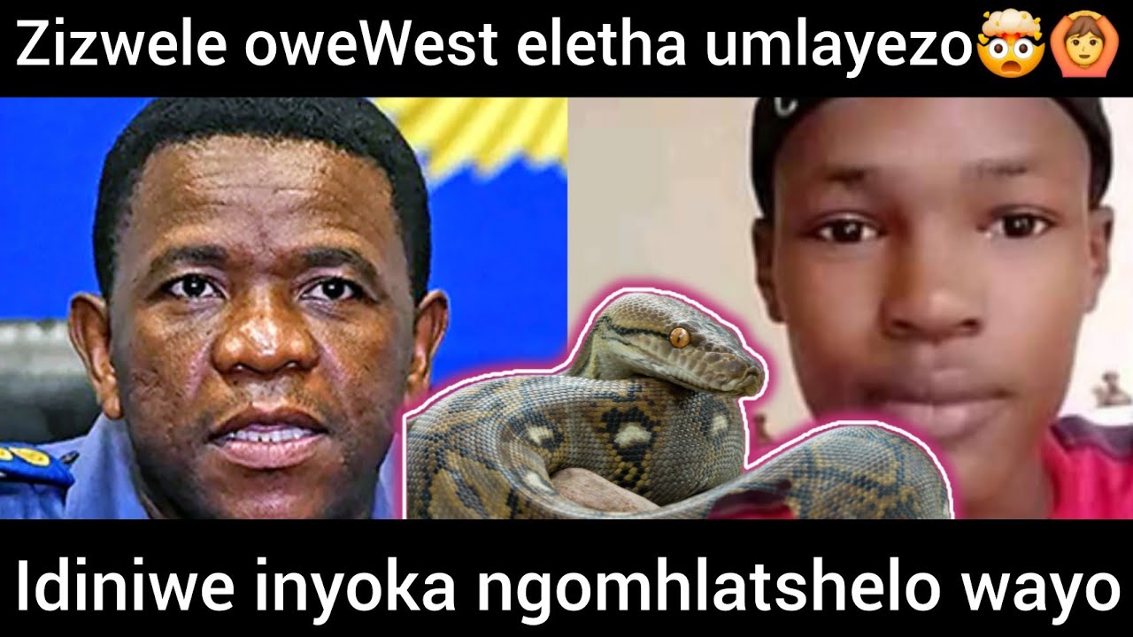 YouTube Thumbnail Downloader FULL HQ IMAGE