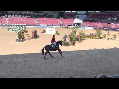 Marcus Ehning  /Herning 2022 /FEI World Championships