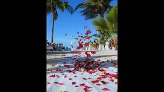 yo siempre estare junto a ti por que contigo soy feliz