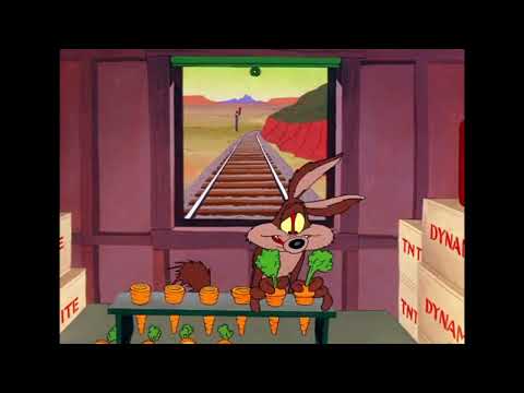 Wile E. Coyote, Super Genius!
