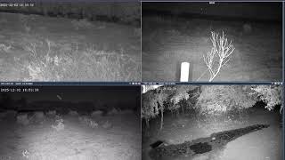 Thumbnail del capítulo