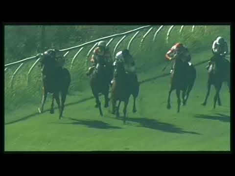 Galoppo 26/08/2020 - 4ª corsa