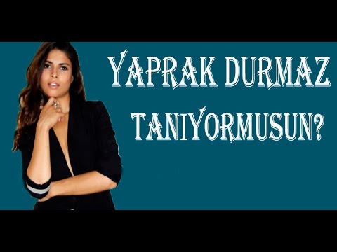 download lagu mp3 mp4 Yaprak Durmaz Kimdir, download lagu Yaprak Durmaz Kimdir gratis, unduh video klip Yaprak Durmaz Kimdir