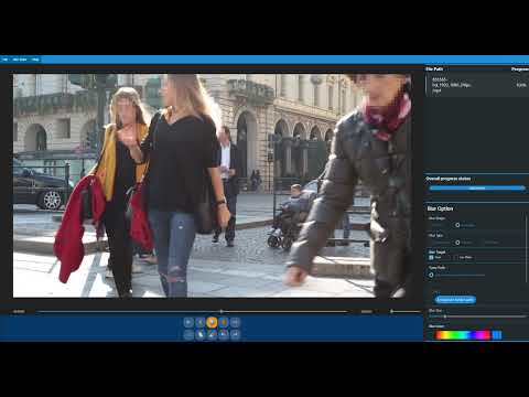 비식별화 AI 소프트웨어 블러틀(Blurtle)