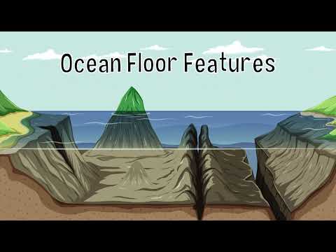 Ocean Floor Features