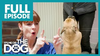 Thumbnail del capítulo