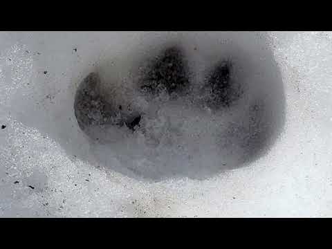 Gura Diham - Cabana Diham  #bucegi #munte #românia #drumetie