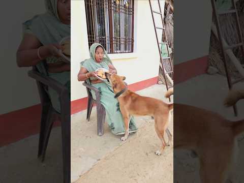 saari duniya jalaa dunga 😭 #shorts #shortvideo #status #viralshorts #viralvideo