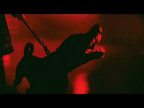 STRANGE BONES - JUNGLE