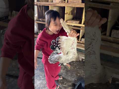 Bắt Chim Của Ông Nội