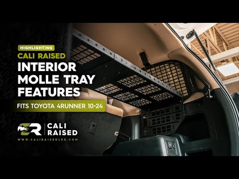2010+ 4Runner Interior Molle Overhead Tray