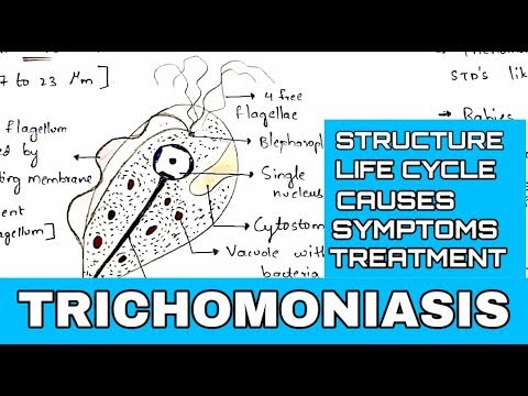 hogyan kell bevenni a Trichomonas t