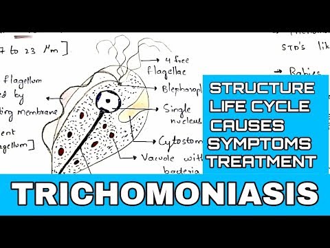 Trichomonas hogy néz ki)