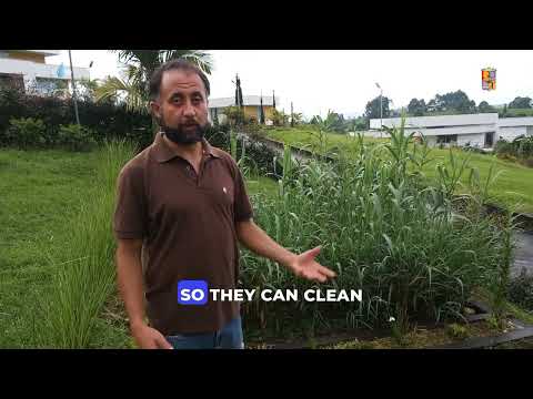 Fincas y Casas Campestres, Venta, Dagua - $130.000.000