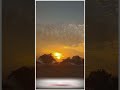 Jab Tak Tum Samne Rhoge Ye Dil Dadkta Rahega Status Short Video