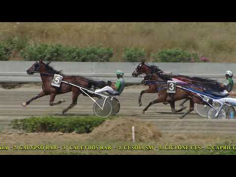 V Corsa - Premio Violetta - 9 Giugno 2021