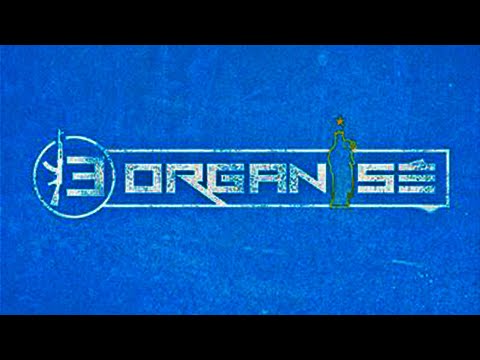 13 Organisé - L'étoile sur le maillot (Instrumental)