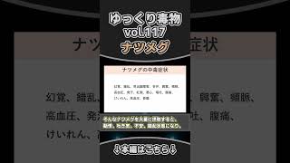 ナツメグ　shortゆっくり毒物　#ゆっくり解説#毒#毒物#ナツメグ